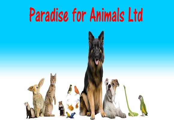 Business directory London Dog, walkers, Pets,  Paradise for Animals 367